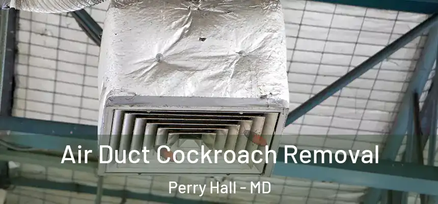 Air Duct Cockroach Removal Perry Hall - MD