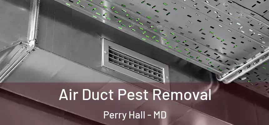 Air Duct Pest Removal Perry Hall - MD