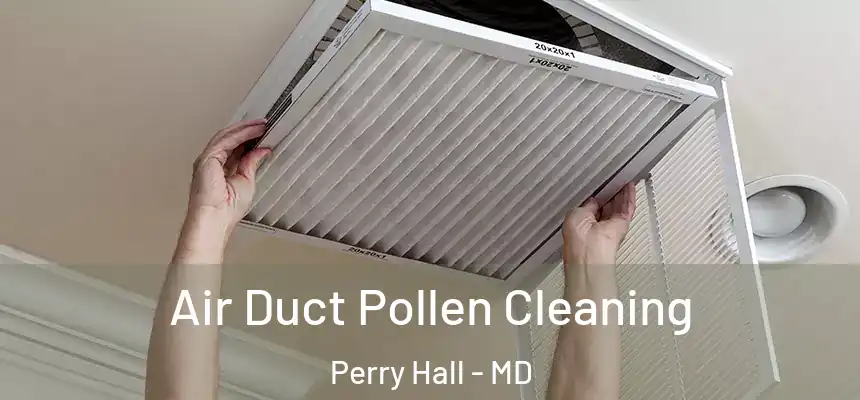 Air Duct Pollen Cleaning Perry Hall - MD