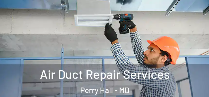  Air Duct Repair Services Perry Hall - MD