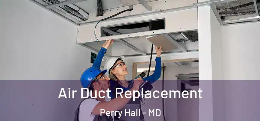 Air Duct Replacement Perry Hall - MD