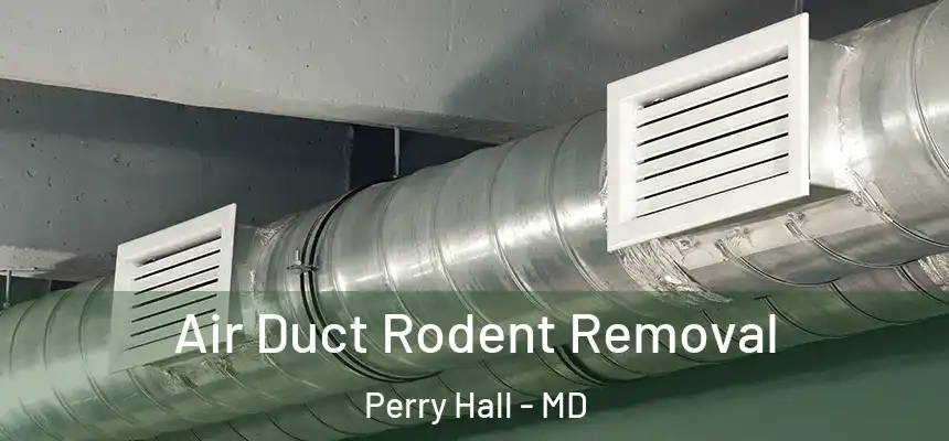 Air Duct Rodent Removal Perry Hall - MD