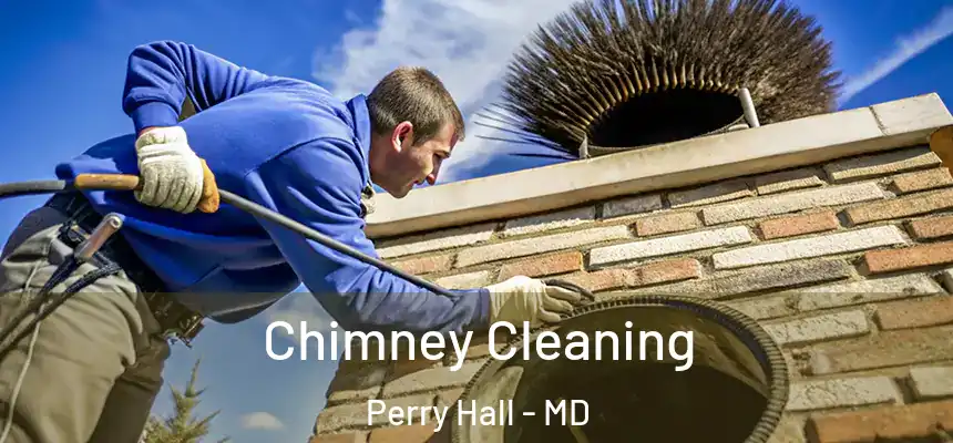 Chimney Cleaning Perry Hall - MD