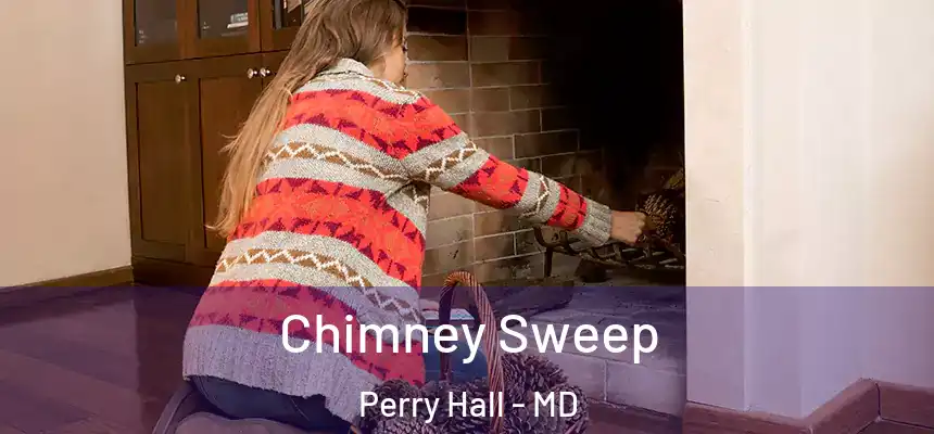 Chimney Sweep Perry Hall - MD