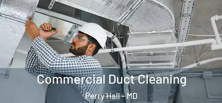 Commercial Duct Cleaning Perry Hall - MD