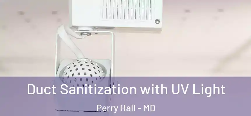 Duct Sanitization with UV Light Perry Hall - MD