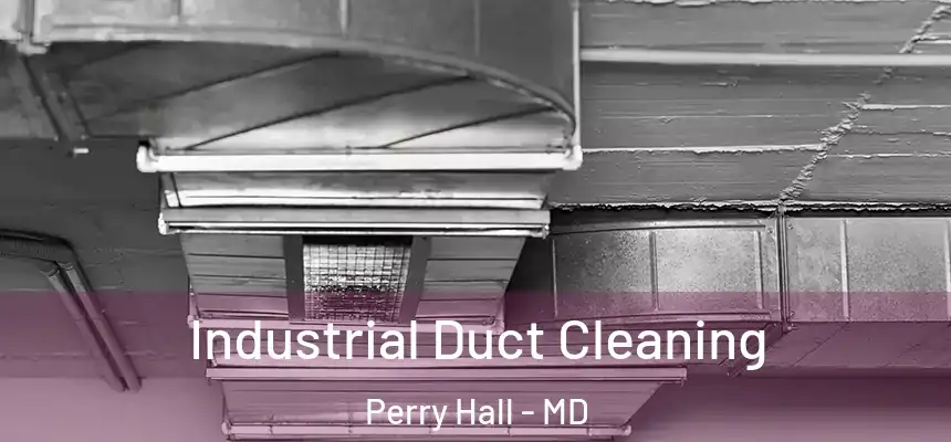 Industrial Duct Cleaning Perry Hall - MD