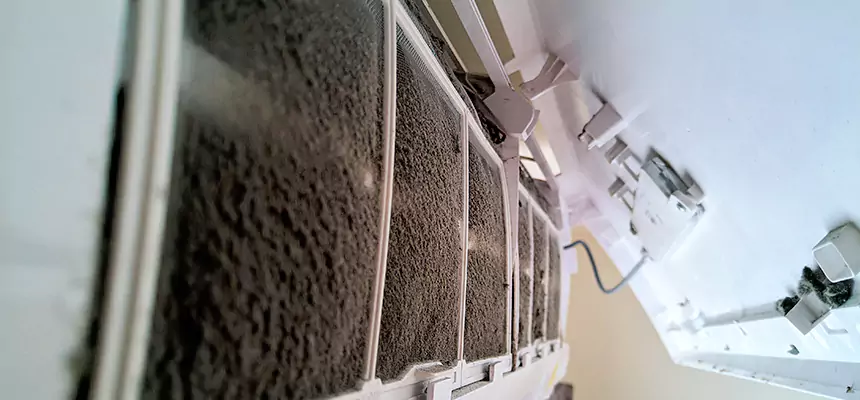 Preventive Air Duct Bacteria Removal in Perry Hall