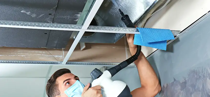 Our Air Duct Rodent Removal Services in Perry Hall, MD
