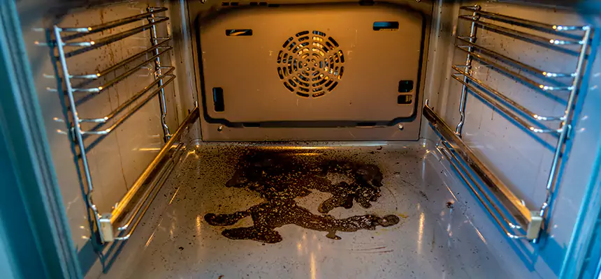 Our Dryer Vent Mold Cleaning Services in Perry Hall, MD