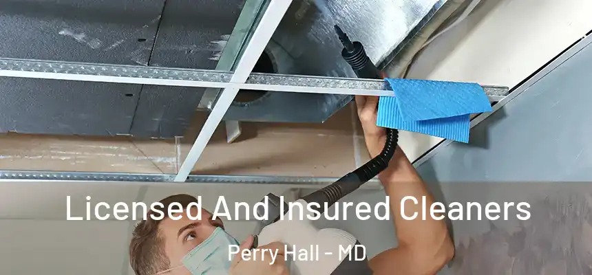 Licensed And Insured Cleaners Perry Hall - MD