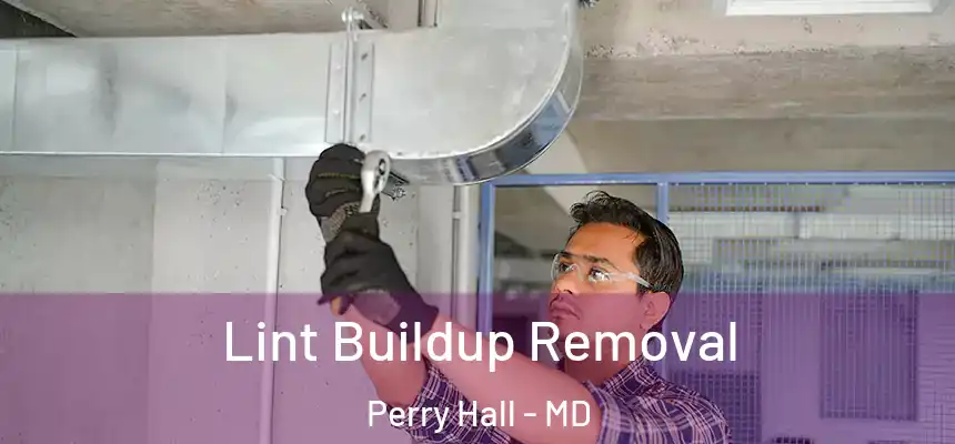  Lint Buildup Removal Perry Hall - MD