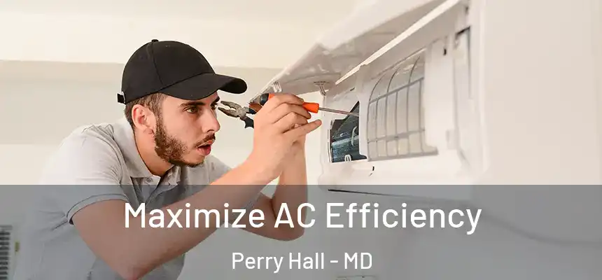  Maximize AC Efficiency Perry Hall - MD