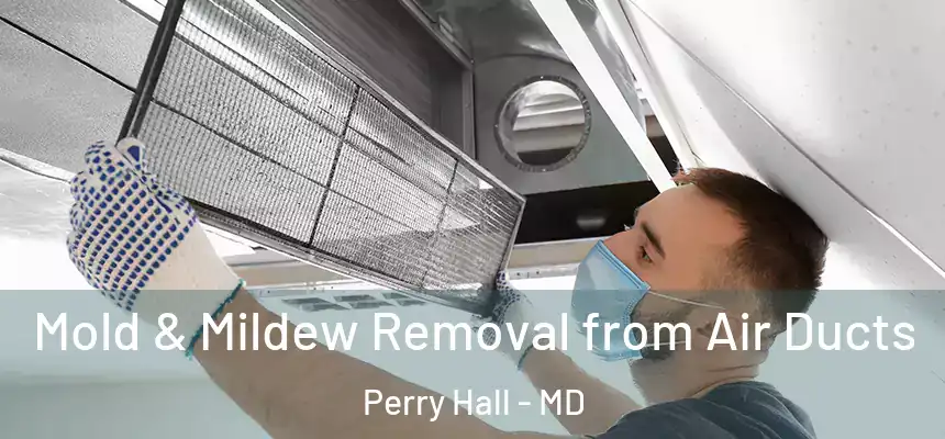 Mold & Mildew Removal from Air Ducts Perry Hall - MD