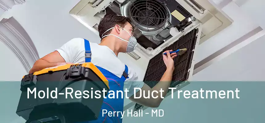  Mold-Resistant Duct Treatment Perry Hall - MD