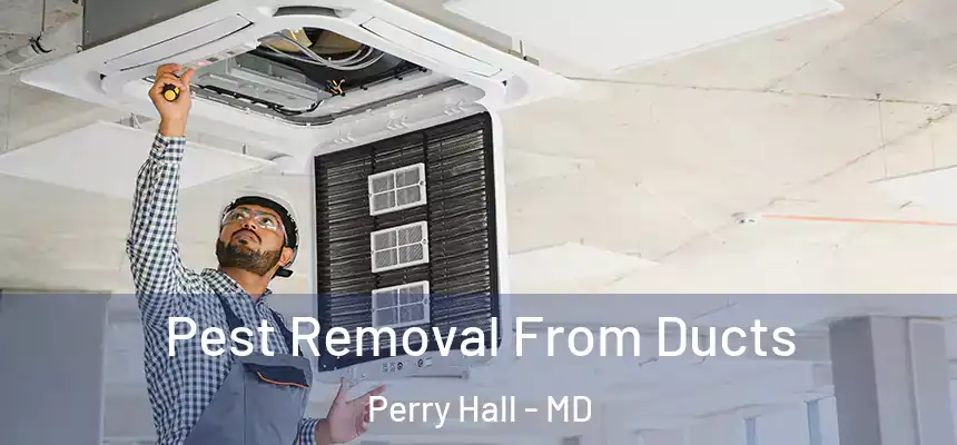 Pest Removal From Ducts Perry Hall - MD