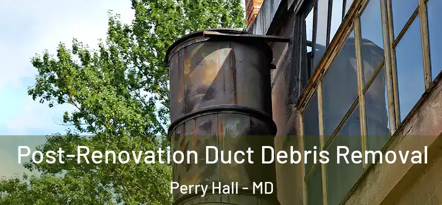 Post-Renovation Duct Debris Removal Perry Hall - MD