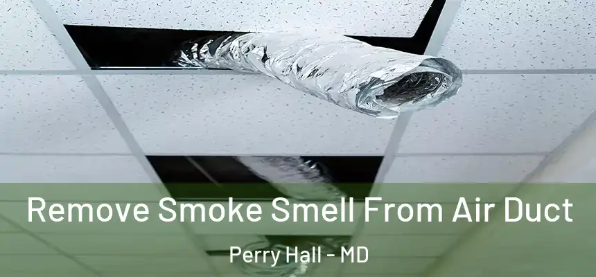Remove Smoke Smell From Air Duct Perry Hall - MD