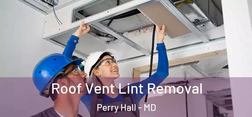  Roof Vent Lint Removal Perry Hall - MD