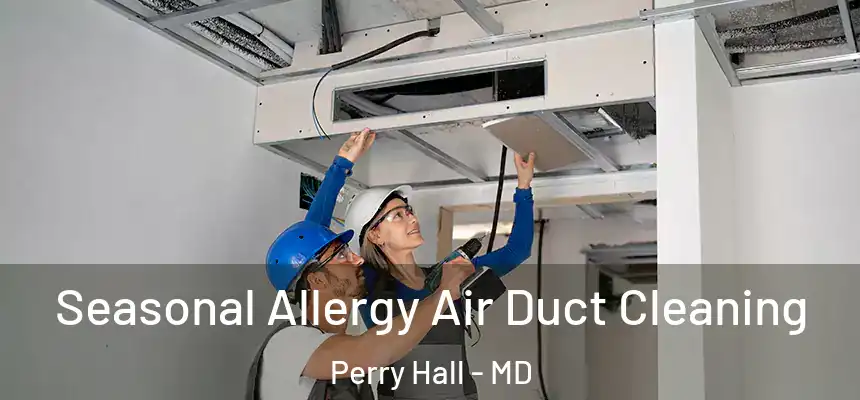  Seasonal Allergy Air Duct Cleaning Perry Hall - MD
