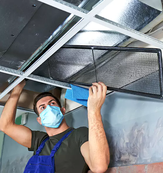 Professional Air Duct Pollen Cleaning in Perry Hall, MD