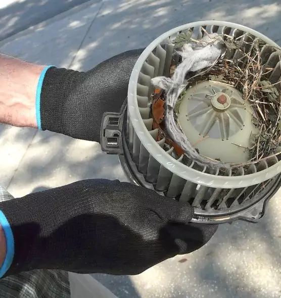 About Air Duct Rat Removal in Perry Hall, MD