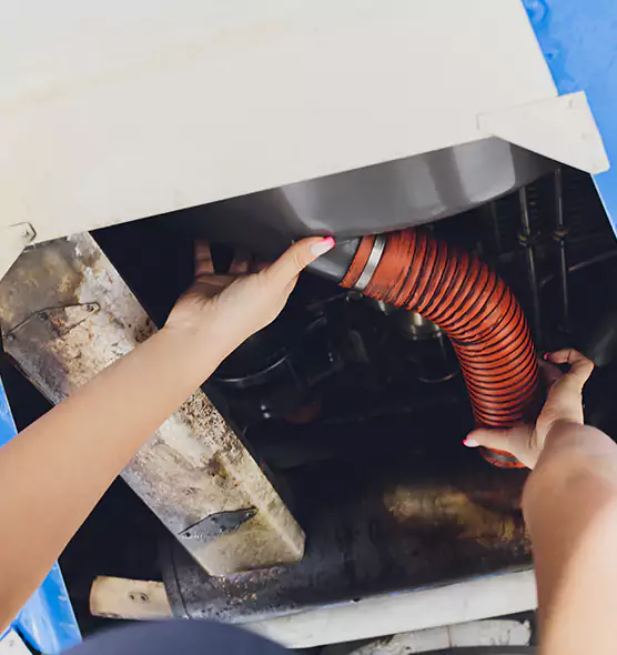 About Air Duct Virus Disinfection in Perry Hall, MD