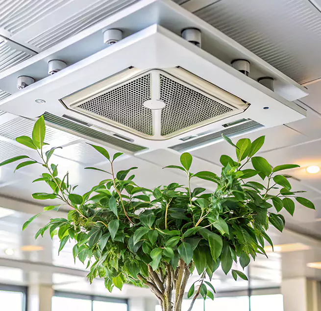 Why Homeowners & Businesses Trust Us in Perry Hall, MD?