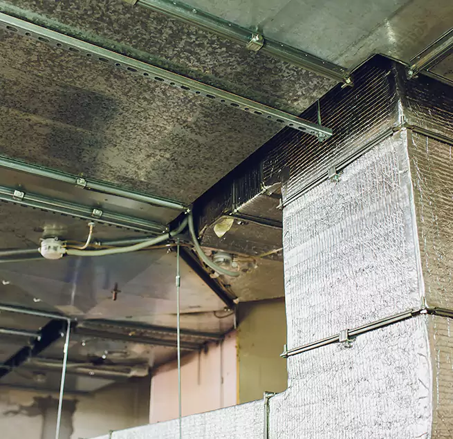 Why Homeowners & Businesses Trust Us in Perry Hall, MD?