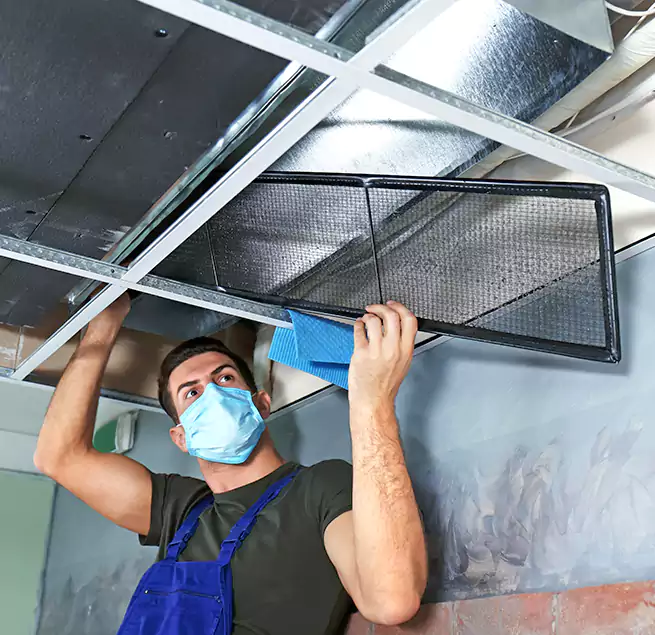 Why Homeowners Businesses Trust Us in Perry Hall, MD